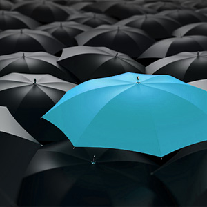 Single blue umbrella standing out in sea of black umbrellas